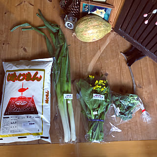 クマ幸の前足/上賀茂産の野菜/京野菜/ブロッコリー/アスパラ菜...などのインテリア実例 - 2020-01-31 11:26:30