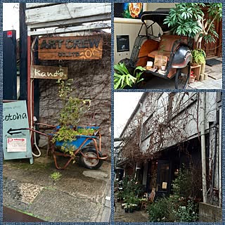 部屋全体/観葉植物/雨のお出かけ/NO GREEN NO LIFE/ウチじゃありません...などのインテリア実例 - 2016-03-09 22:02:14