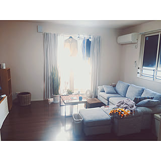 リビング/観葉植物/生活感/サンスベリア/ふたり暮らしのインテリア実例 - 2019-11-02 13:34:17