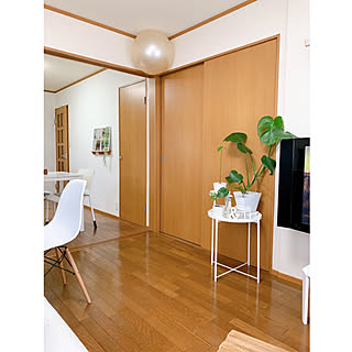 モンステラ増殖中/観葉植物/グリーンのある暮らし/賃貸暮らし/バランスボール収納...などのインテリア実例 - 2019-09-04 21:52:29