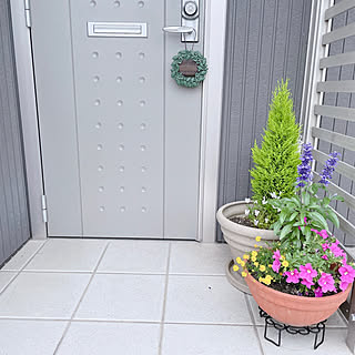 ゴールドクレスト ダールベルグデージーのインテリア実例 Roomclip ルームクリップ