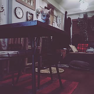 ジャーナルスタンダードファニチャー/journal standard Furniture/モナ/インスタID→_jedimaster/JSF研究会...などのインテリア実例 - 2015-12-15 20:13:50