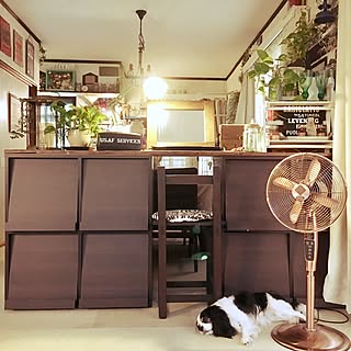 リビング/扇風機/いつもいいねやコメありがとうございます♡/いいね!押し逃げばかりでごめんなさい。/ペットと暮らす家...などのインテリア実例 - 2017-07-04 08:13:17