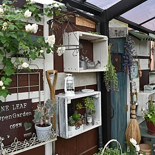 ソンブレイユのインテリア実例 Roomclip ルームクリップ