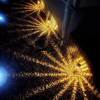 玄関 入り口 ダイソーソーラーライトのインテリア実例 Roomclip ルームクリップ