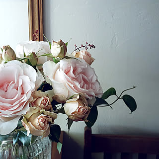 ヒューケラの花のインテリア実例 Roomclip ルームクリップ ヒューケラの花のインテリア実例 Roomclip ルームクリップ
