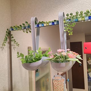 セリア ヒルナンデスで紹介されてたヤツのインテリア実例 Roomclip ルームクリップ