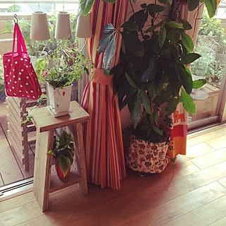 リビング キャットテールのインテリア実例 Roomclip ルームクリップ