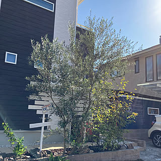 単管パイプdiyのインテリア 手作りの実例 Roomclip ルームクリップ