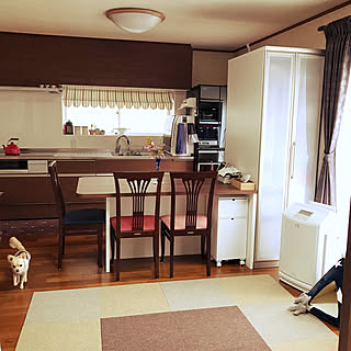 部屋全体/狭い部屋 /ペットテント/犬のいるおうち/ハンドメイド大好き♡...などのインテリア実例 - 2019-02-22 14:53:12