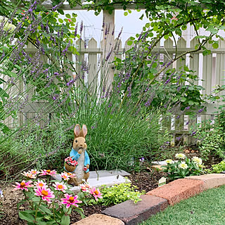 花のある暮らし ジニアのインテリア実例 Roomclip ルームクリップ