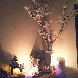 棚/2019.2.19/一周忌/貴女の心が癒されますように/優しい光で包まれますように...などのインテリア実例 - 2019-02-19 23:40:45