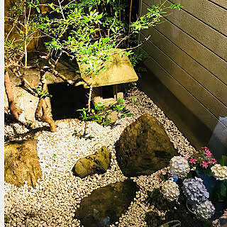 坪庭 和風のインテリア実例 Roomclip ルームクリップ