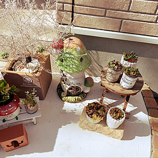 雑貨/ガーデニング/カフェ風/フェイクグリーン/きのこ...などのインテリア実例 - 2020-02-24 10:34:32