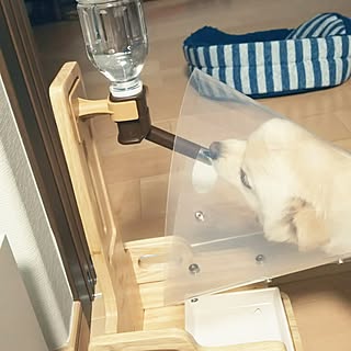 水飲みスタンドのインテリア実例 Roomclip ルームクリップ