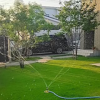 庭 スプリンクラーのインテリア実例 Roomclip ルームクリップ