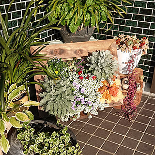 額縁プランターのインテリア実例 Roomclip ルームクリップ