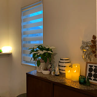 プリンセチアのインテリア実例 Roomclip ルームクリップ