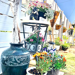 カインズホーム 流木のまとめページ Roomclip ルームクリップ カインズホーム 流木のまとめページ Roomclip ルームクリップ