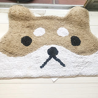 犬のイタズラ/足拭きマット/購入品/隠す/パピヨン...などのインテリア実例 - 2019-06-22 18:47:34