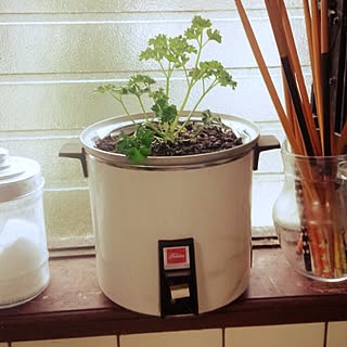 キッチン/レトロ/昭和レトロ部/中古住宅/食器...などのインテリア実例 - 2015-03-17 20:05:03