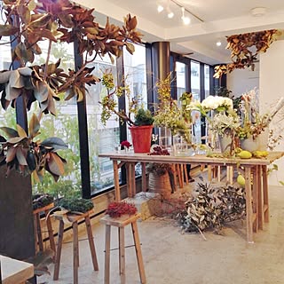 吉祥寺 花屋のインテリア実例 Roomclip ルームクリップ
