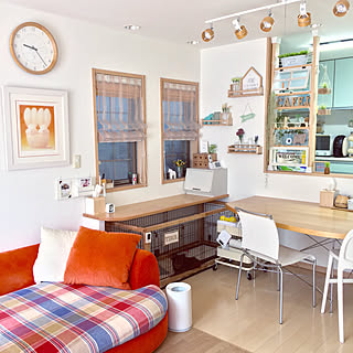 ベッド周り/ベッド周りではありません/ペットと暮らすインテリア/ペット/チワワ...などのインテリア実例 - 2017-08-11 09:44:57