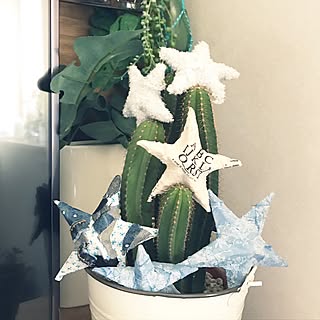 机/画用紙バーンスター★/新作バーンスター★/!!!!!アホ仲間!!!!!/フェイクに水あげ隊...などのインテリア実例 - 2017-03-11 19:17:20