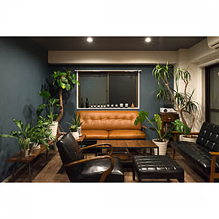 オーガスタ/壁紙/カリモク60/ACME FURNITURE/緑のある暮らし...などのインテリア実例 - 2020-02-26 15:02:42