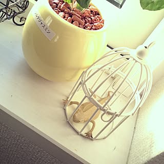 リビング ダサいもののインテリア実例 Roomclip ルームクリップ