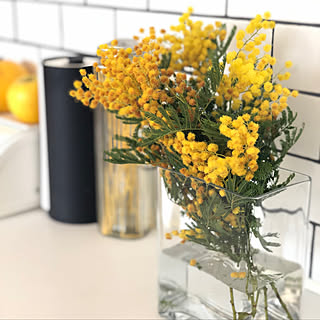 キッチン/Francfranc/花のある暮らし/住友不動産/北欧...などのインテリア実例 - 2019-02-25 06:50:42