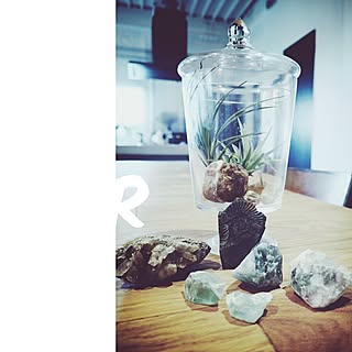 キッチン/リノベーション/コンクリートキッチン/鉄骨な天井/アリアフィーナ...などのインテリア実例 - 2017-04-11 13:30:02