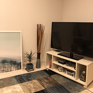 リビング/IKEA/一人暮らし/100均/北欧...などのインテリア実例 - 2019-10-29 18:35:21