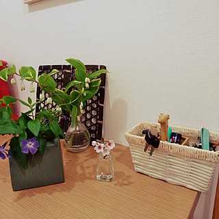 靴べら 収納のインテリア実例 Roomclip ルームクリップ