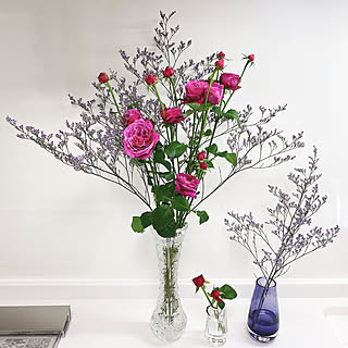 宿根スターチスのインテリア実例 Roomclip ルームクリップ