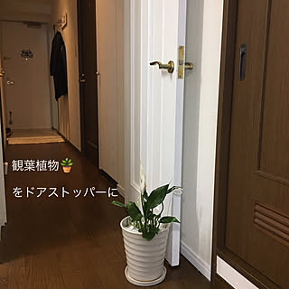 ドアストッパーのかわりのインテリア実例 Roomclip ルームクリップ