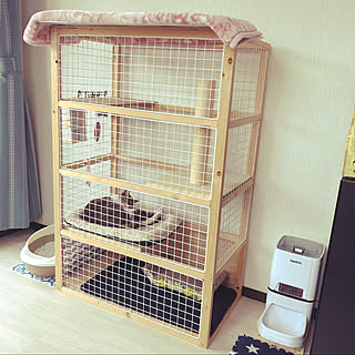 ワイヤーネット 猫と暮らすのおしゃれなアレンジ 飾り方のインテリア実例 Roomclip ルームクリップ ワイヤーネット 猫と暮らすのおしゃれなアレンジ 飾り方のインテリア実例 Roomclip ルームクリップ