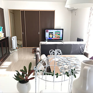 これからが楽しみ/ニトリ/フェイクグリーン/多肉植物/ホワイトインテリア...などのインテリア実例 - 2020-02-24 23:42:42
