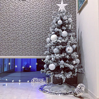 シルバーツリーのインテリア実例 Roomclip ルームクリップ