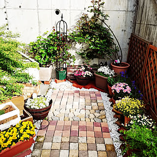 外階段下ガーデンのインテリア実例 Roomclip ルームクリップ