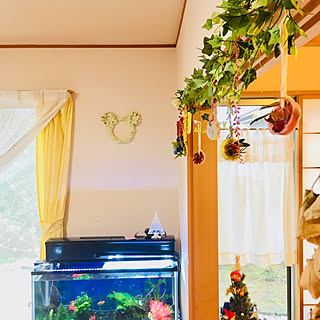 リビング/アクアリウム/アロマサシェのインテリア実例 - 2017-12-08 14:35:03