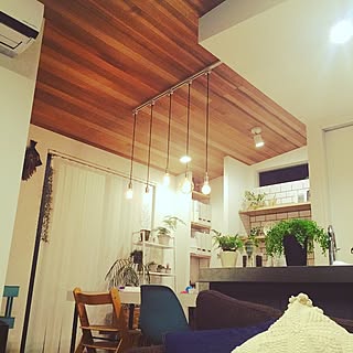 キッチン/海外インテリアに憧れる/エバーフレッシュおやすみ中/ソフォラ/アスパラガスナナス...などのインテリア実例 - 2015-11-09 23:57:00