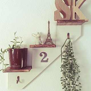 多肉植物 三日月ネックレスのおしゃれなアレンジ 飾り方のインテリア実例 Roomclip ルームクリップ