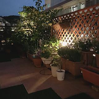 玄関/入り口/いつもありがとうございます♡/夕暮れの庭/手作りの庭/花のある暮らし...などのインテリア実例 - 2018-05-27 22:50:21