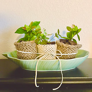 摘心のインテリア実例 Roomclip ルームクリップ