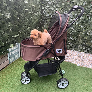 ペットカートのインテリア実例 Roomclip ルームクリップ