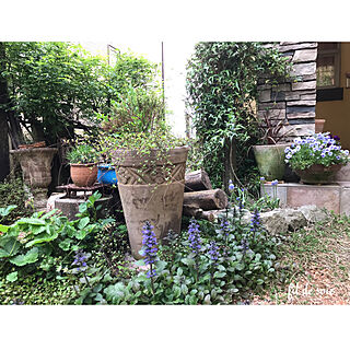 玄関/入り口/2018.4.24/植物のある暮らし/手作りの庭/模擬石貼り外壁...などのインテリア実例 - 2018-04-24 20:23:50