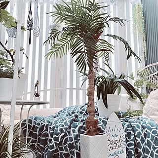 部屋全体/ヤシの木手作り❤️/久しぶりのMOPの木/MOP Tree♡/フェイクヤシの木...などのインテリア実例 - 2017-04-28 14:18:39