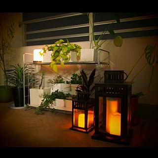 ベランダ/ベランダガーデニング初心者/IKEA/グリーン/無印良品...などのインテリア実例 - 2015-04-29 14:55:22