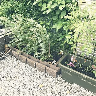 玄関/入り口/モニター応募/素敵にしたい/花壇/ユーカリ...などのインテリア実例 - 2017-07-18 10:44:18